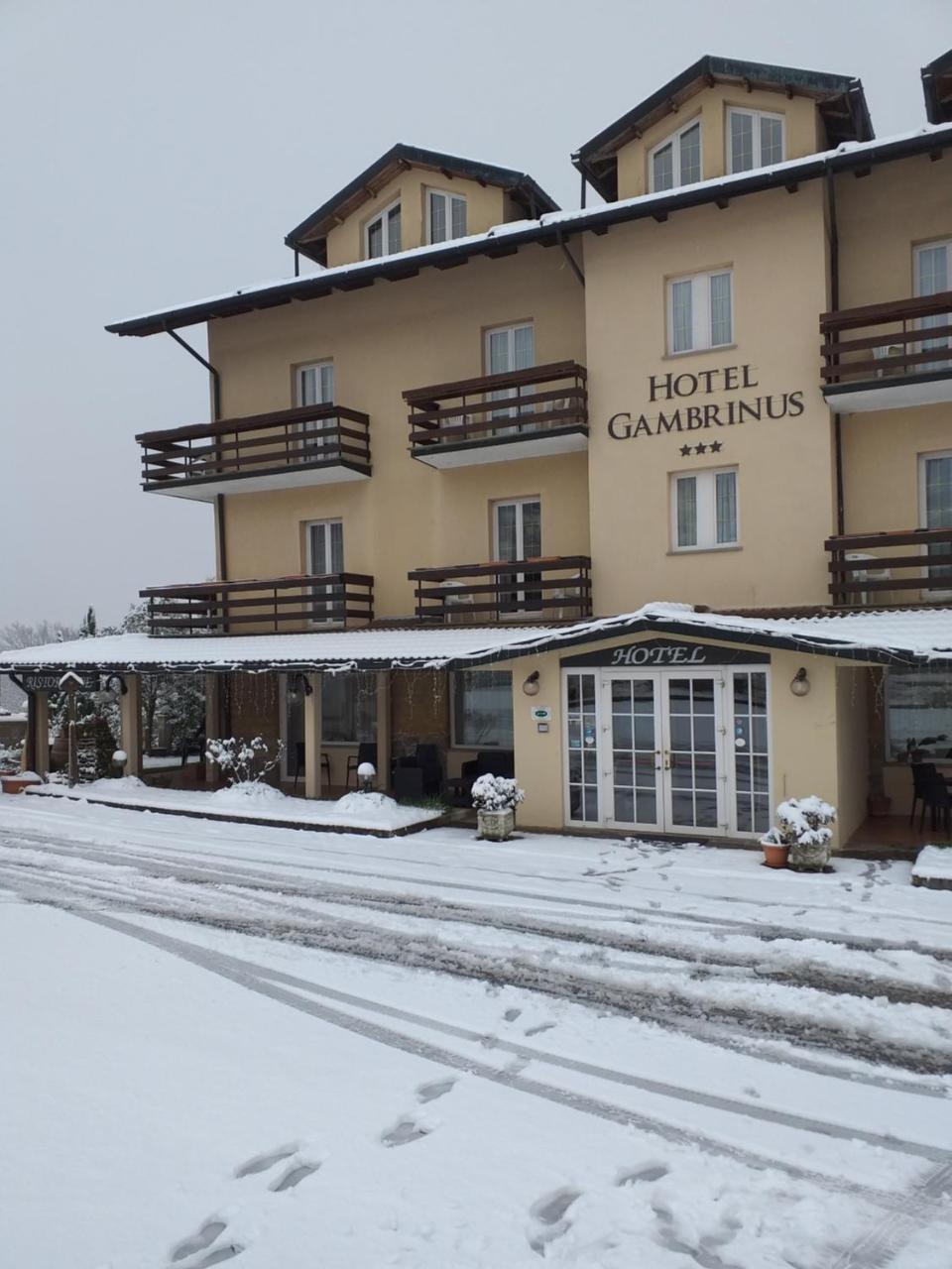 Hotel Gambrinus アッバディーア・サン・サルヴァトーレ エクステリア 写真