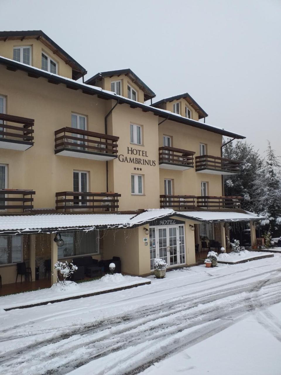 Hotel Gambrinus アッバディーア・サン・サルヴァトーレ エクステリア 写真